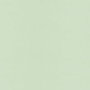 Meet your Posher, Nevaeh